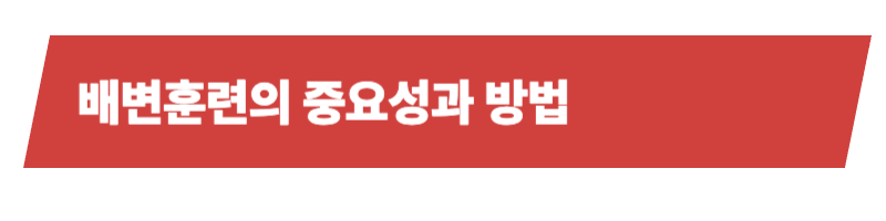 반려견 배변훈련의 모든것, 필요성과 중요성 그리고 방법에 대하여_상세이미지_3